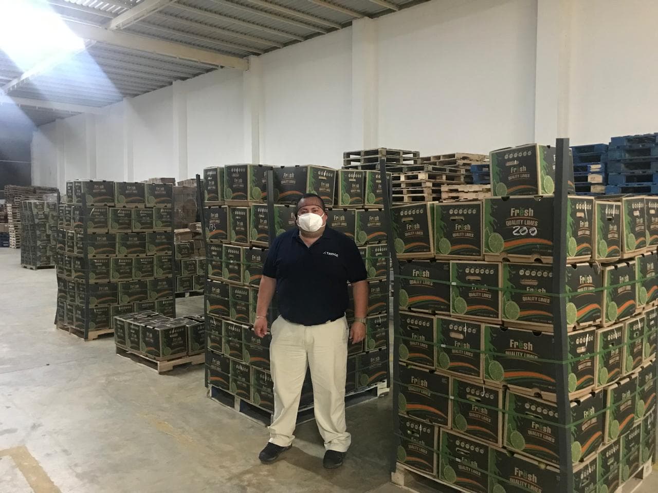 Rambutan Exporter, Tapachula