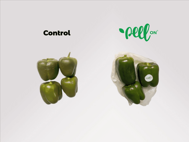 Bell Pepper