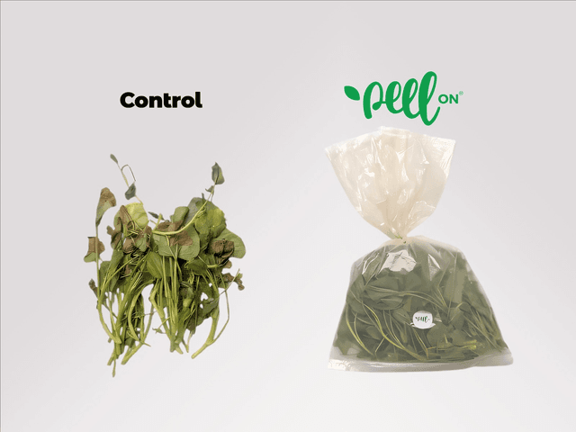 Leafy Green