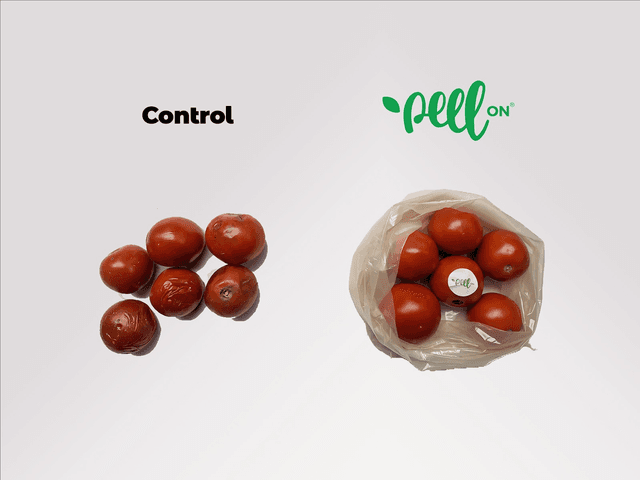 Tomato
