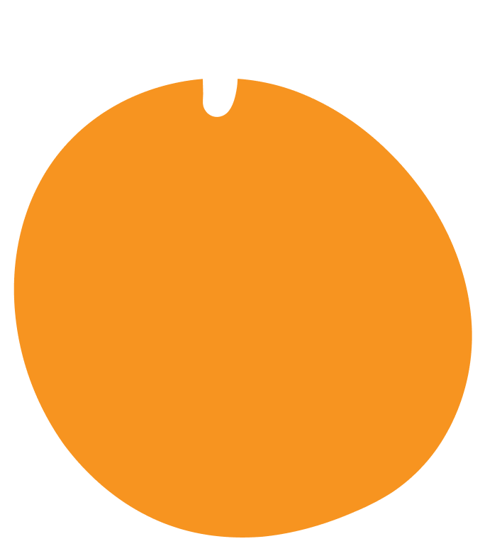 fruit-0